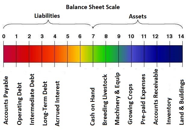 Balance Sheet Scale